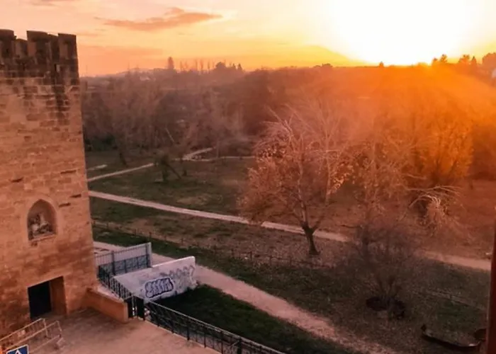 Mirador Del Torreon *